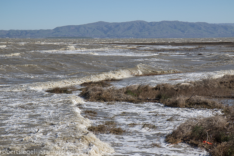 palo alto baylands